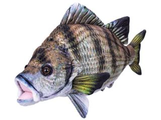 Obrázek z Kapr plyš 45cm 